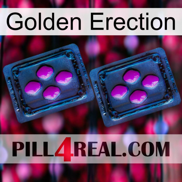 Golden Erection 03.jpg